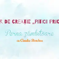 Atelier de Creatie Piticii priceputi - Perna zambitoare