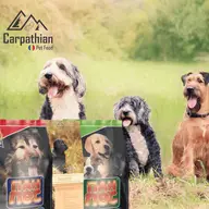 Distribuitor de hrana pentru animale. Hrana premium pentru caini cu pret de producator