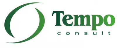 Tempo Consult