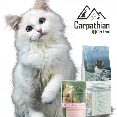 Mâncare pentru pisici - pentru toate buzunarele