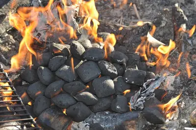 Brichetele de cărbune sunt o sursă ecologică și eficientă de încălzire? Iată răspunsul