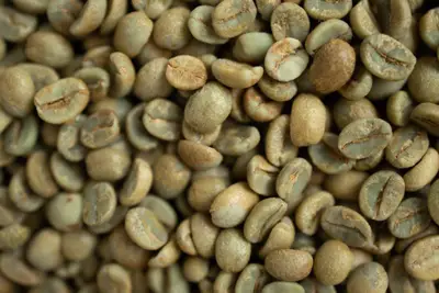 Originea cafelei boabe verde și impactul asupra aromei și intensității