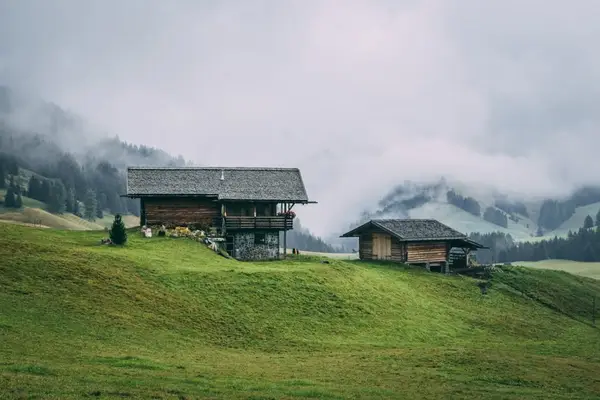 Ce utilaje funcționează pe pante, nu doar pe teren drept