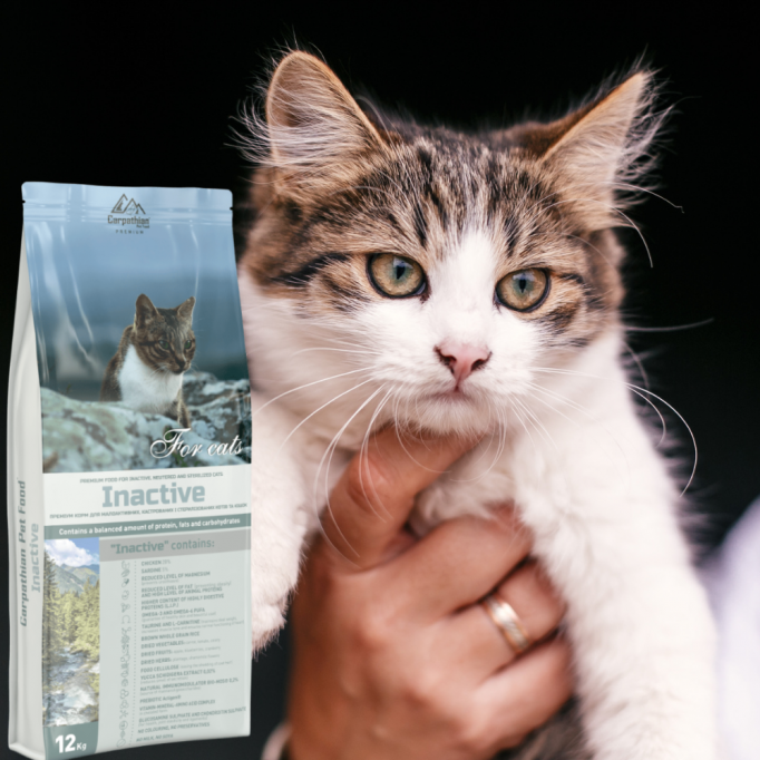 Cauți mâncare pisici sterilizate?