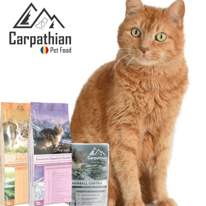 Distribuitor mancare pentru pisici - Carpathians Pet Food