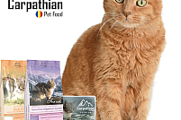 Distribuitor mancare pentru pisici - Carpathians Pet Food