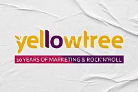 Cum să te diferențiezi pe piața aglomerată a marketingului: Sfaturi de la agenția de marketing Yellow Tree